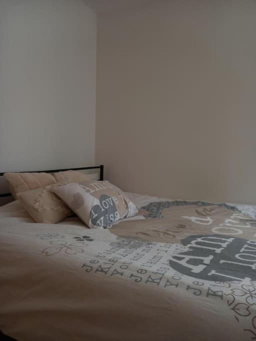Apartamento Le Doubs Cosy Besanzón Exterior foto