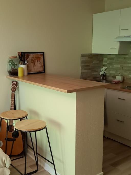Apartamento Le Doubs Cosy Besanzón Exterior foto