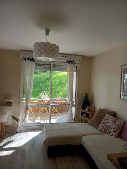 Apartamento Le Doubs Cosy Besanzón Exterior foto