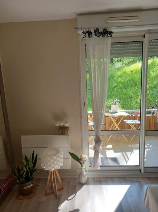 Apartamento Le Doubs Cosy Besanzón Exterior foto