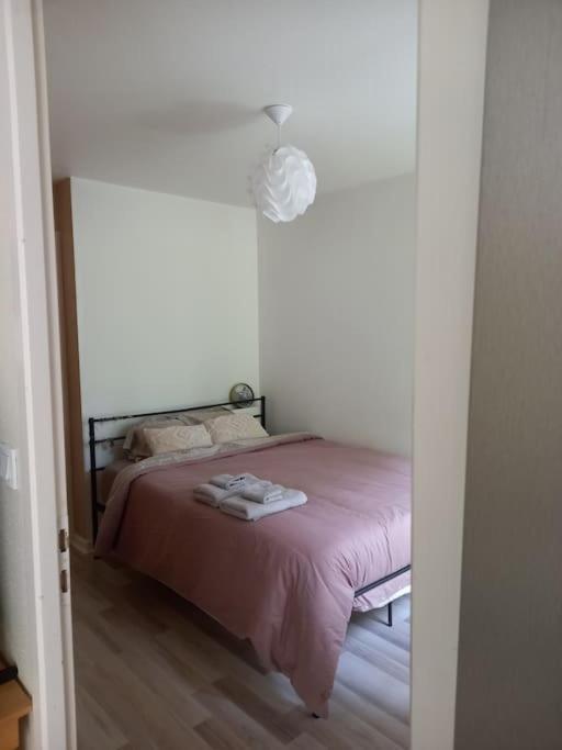 Apartamento Le Doubs Cosy Besanzón Exterior foto