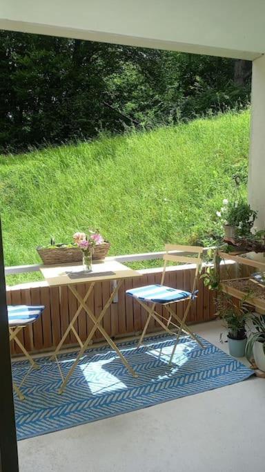 Apartamento Le Doubs Cosy Besanzón Exterior foto