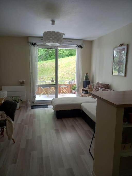 Apartamento Le Doubs Cosy Besanzón Exterior foto