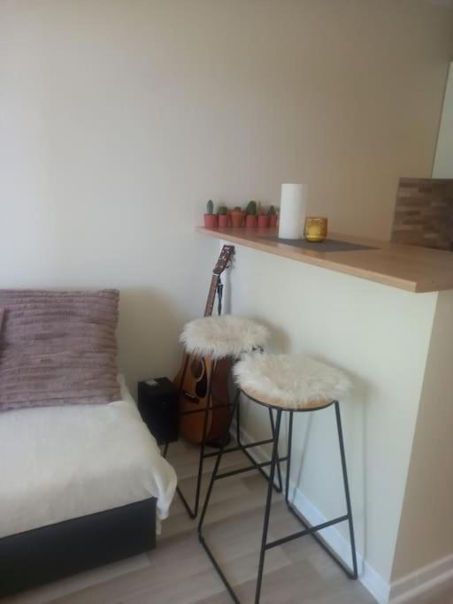 Apartamento Le Doubs Cosy Besanzón Exterior foto
