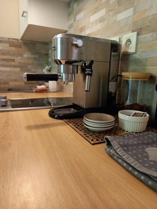 Apartamento Le Doubs Cosy Besanzón Exterior foto